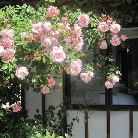 Rose Cottage At The Elms Christchurch Ruang foto