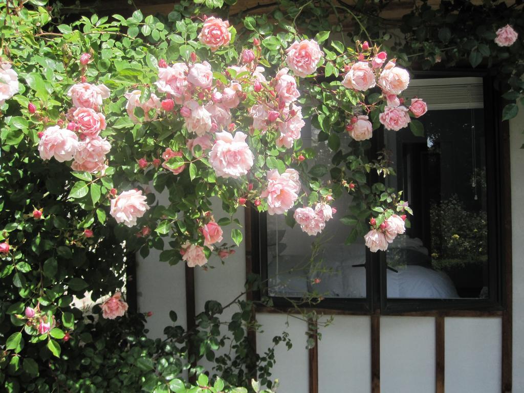 Rose Cottage At The Elms Christchurch Ruang foto